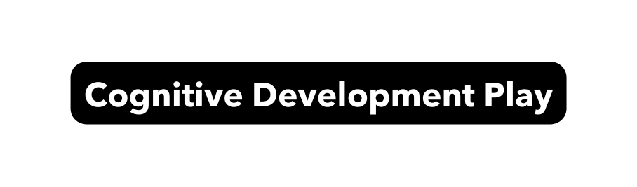 Cognitive Development Play